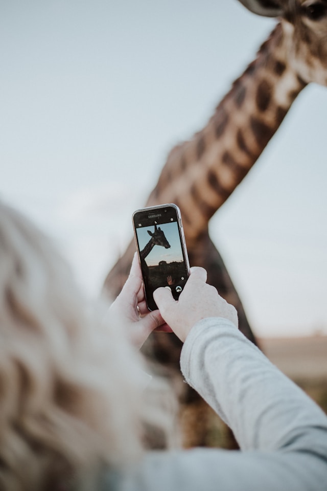 7 Langkah Cara Mengimpor Preset Lightroom di Android untuk Memudahkan Editing